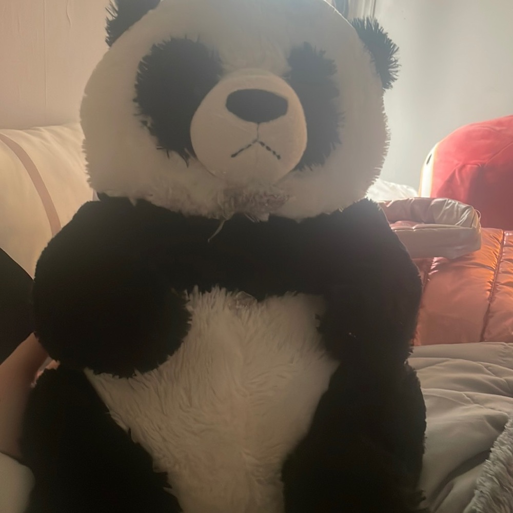 panda bear got me through many hard times but it’s time to say goodbye now